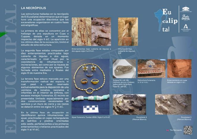 Eucaliptal Panel 5