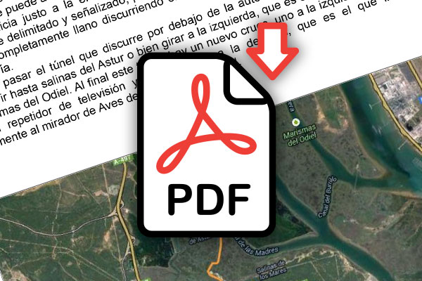 Descarga Documentos
